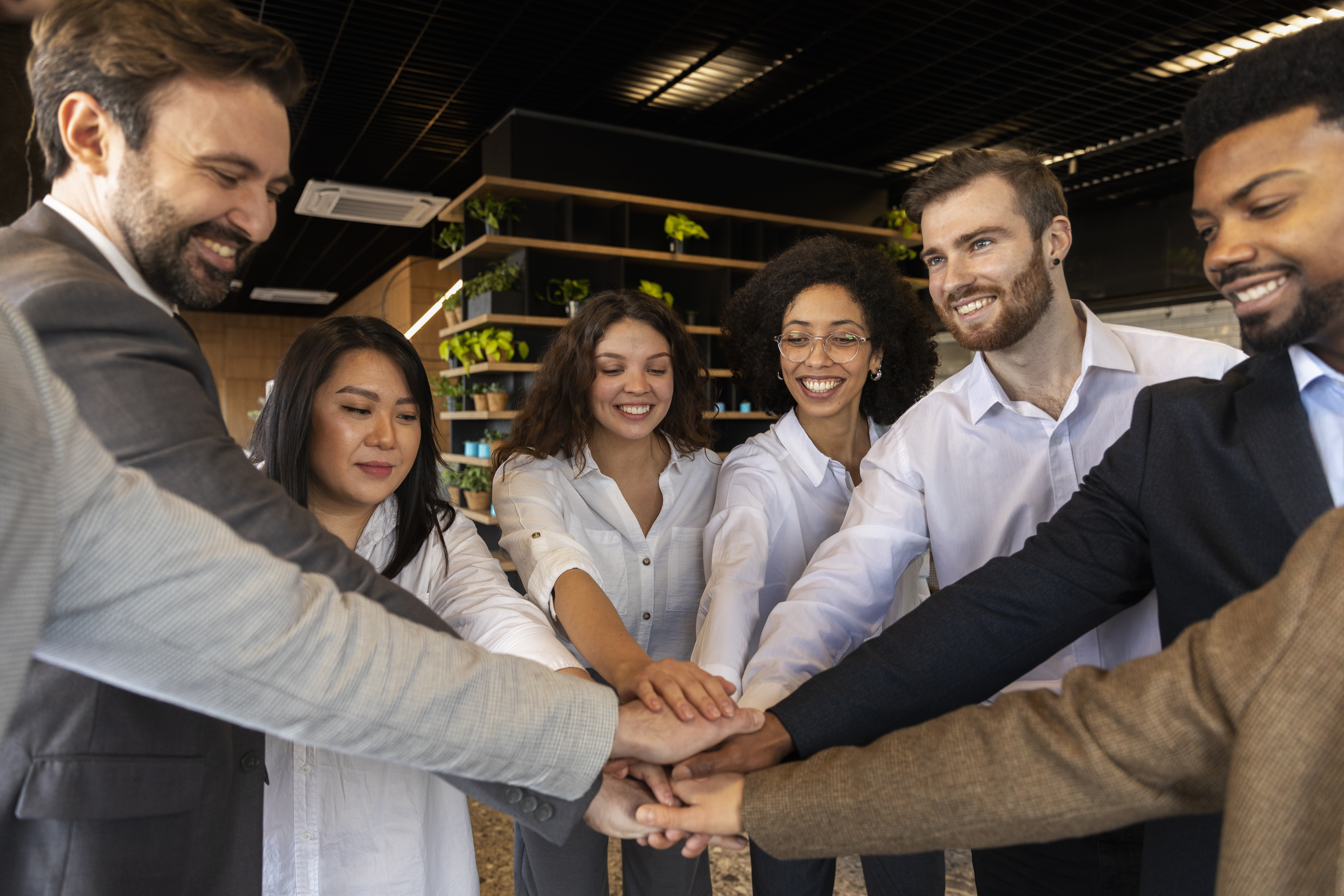 Equipo de trabajo
